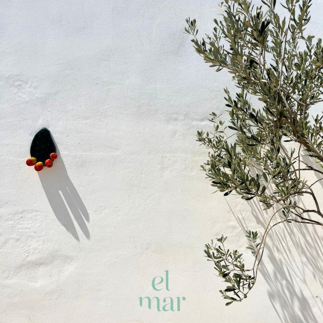 Apartmán El-Mar Locazione Turistica House With Exclusive Terrace Polignano a Mare Exteriér fotografie