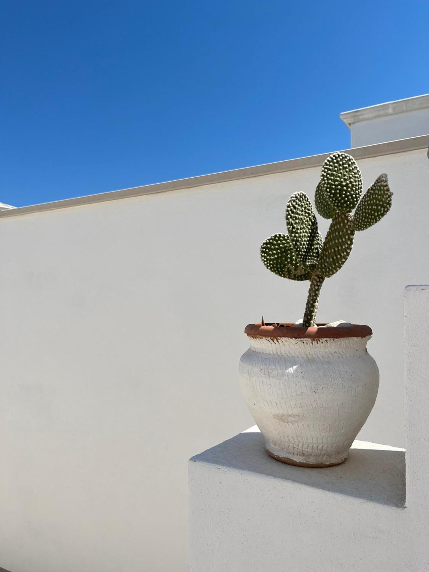 Apartmán El-Mar Locazione Turistica House With Exclusive Terrace Polignano a Mare Exteriér fotografie