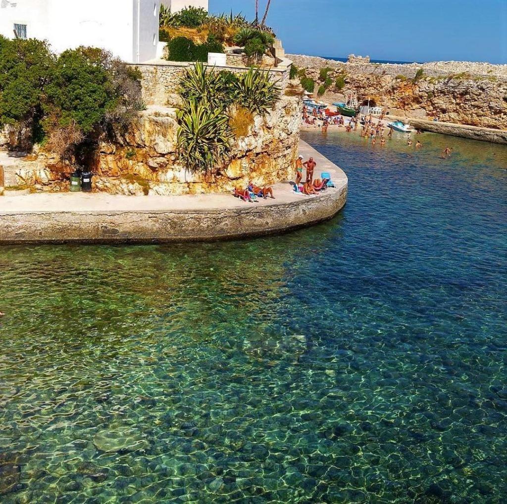 Apartmán El-Mar Locazione Turistica House With Exclusive Terrace Polignano a Mare Exteriér fotografie