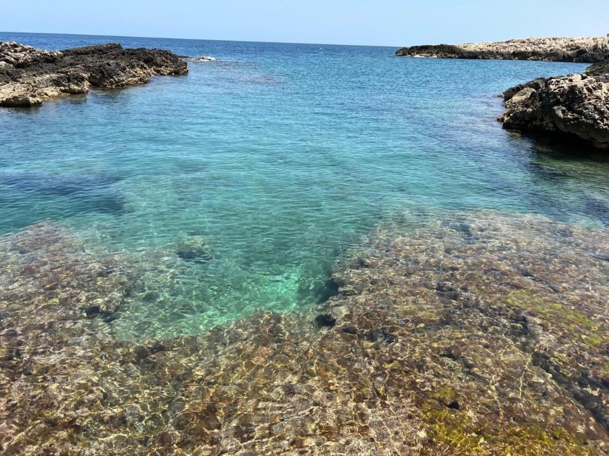 Apartmán El-Mar Locazione Turistica House With Exclusive Terrace Polignano a Mare Exteriér fotografie
